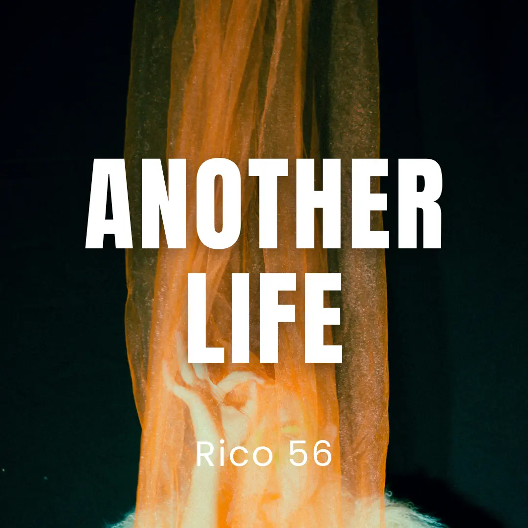 Another Life