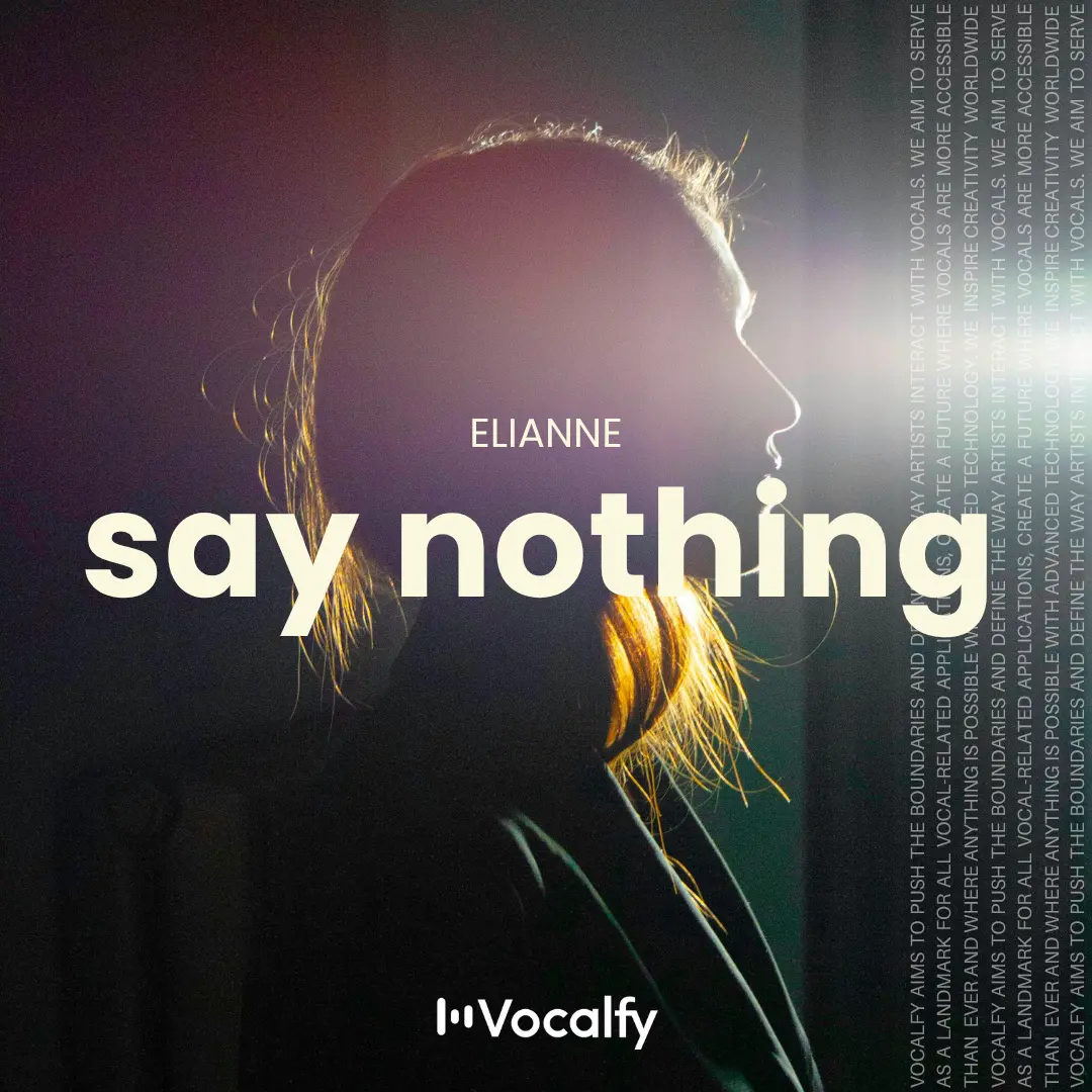 Say Nothing